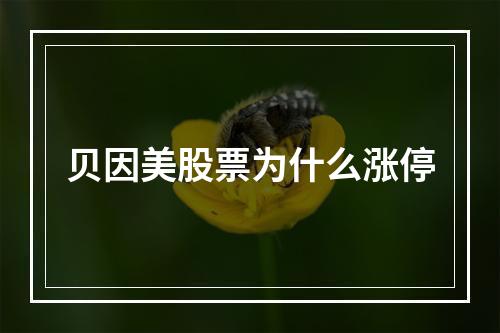 贝因美股票为什么涨停