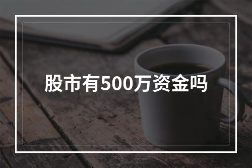 股市有500万资金吗