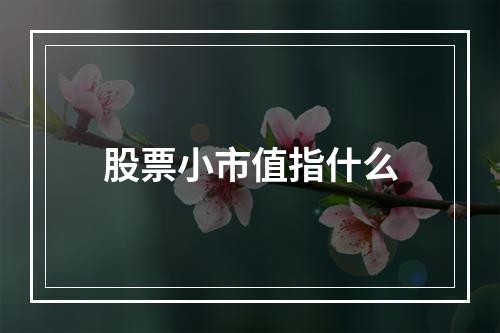 股票小市值指什么