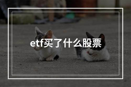 etf买了什么股票