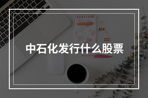 中石化发行什么股票