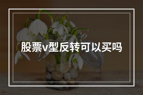 股票v型反转可以买吗