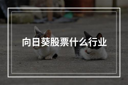 向日葵股票什么行业