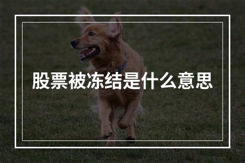 股票被冻结是什么意思