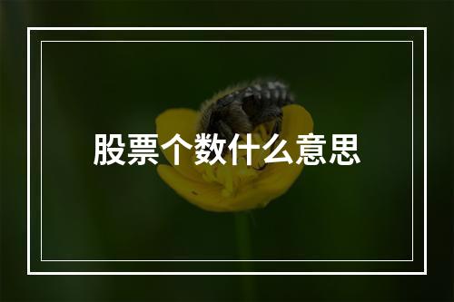 股票个数什么意思