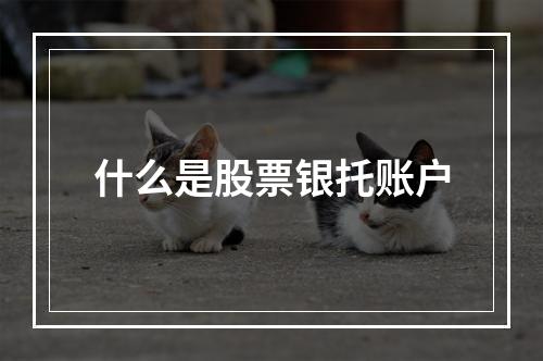 什么是股票银托账户