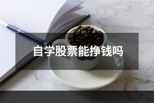 自学股票能挣钱吗