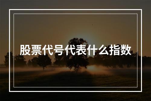 股票代号代表什么指数