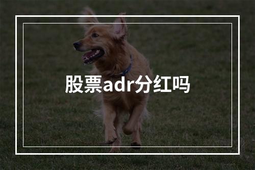 股票adr分红吗