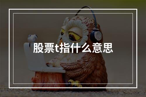 股票t指什么意思