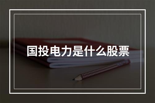 国投电力是什么股票