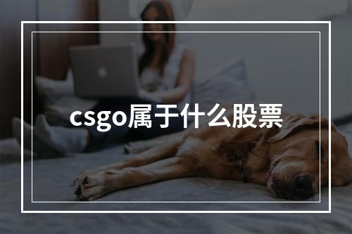 csgo属于什么股票