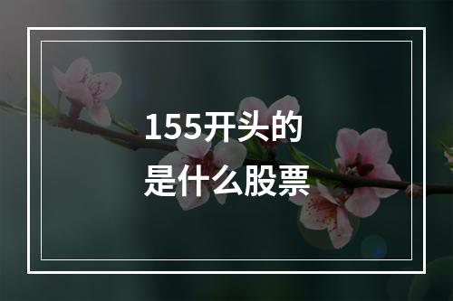 155开头的是什么股票