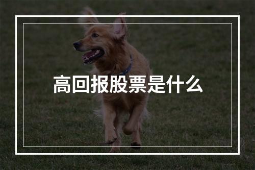 高回报股票是什么