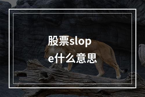 股票slope什么意思