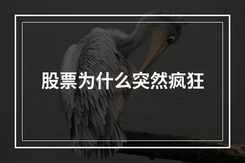 股票为什么突然疯狂