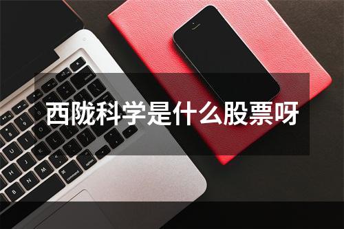 西陇科学是什么股票呀