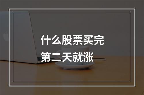 什么股票买完第二天就涨