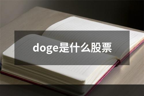 doge是什么股票