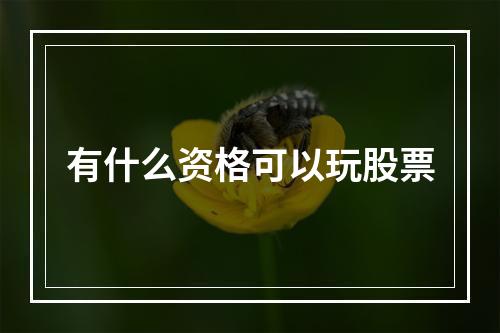 有什么资格可以玩股票