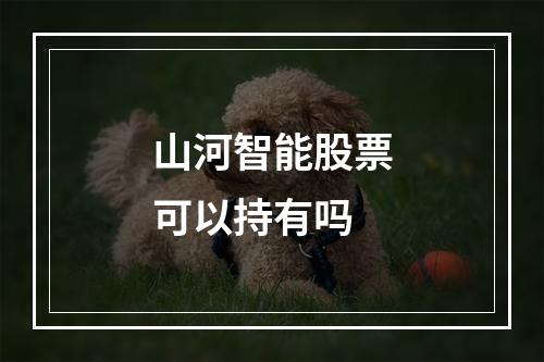 山河智能股票可以持有吗