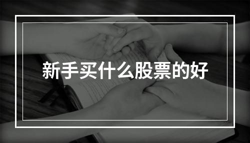 新手买什么股票的好