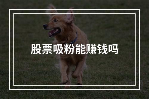 股票吸粉能赚钱吗