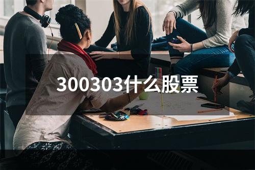 300303什么股票