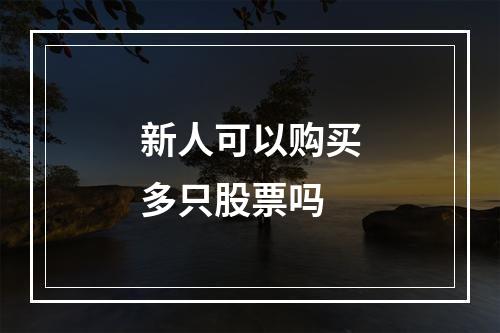 新人可以购买多只股票吗