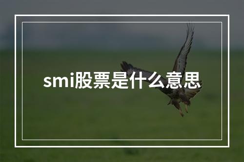 smi股票是什么意思