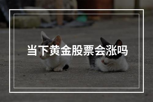 当下黄金股票会涨吗