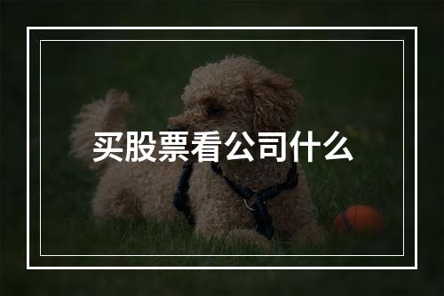 买股票看公司什么