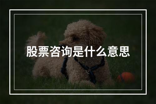 股票咨询是什么意思