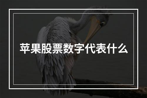 苹果股票数字代表什么