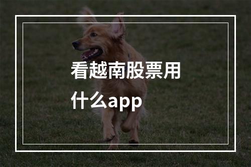 看越南股票用什么app