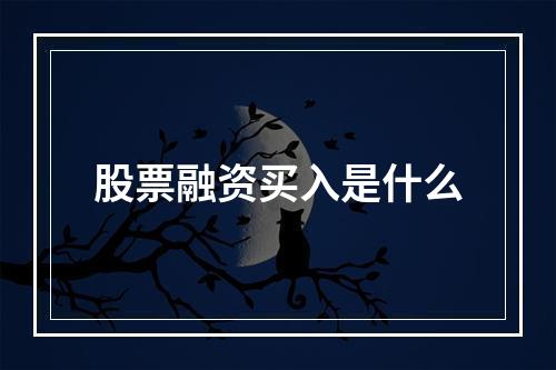 股票融资买入是什么