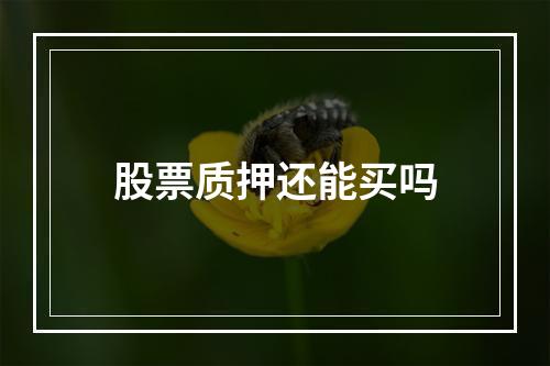 股票质押还能买吗