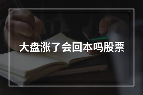 大盘涨了会回本吗股票