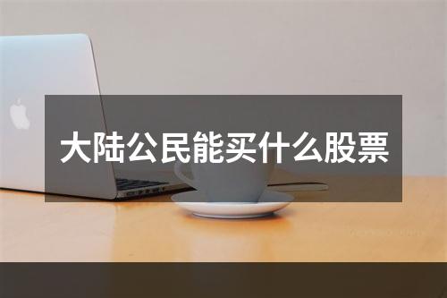 大陆公民能买什么股票