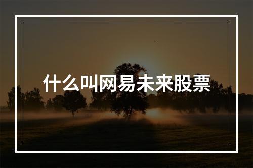 什么叫网易未来股票