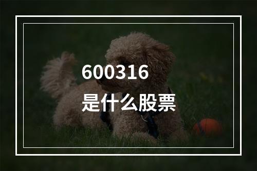 600316是什么股票