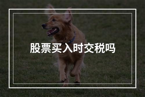 股票买入时交税吗