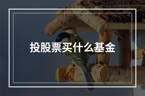 投股票买什么基金