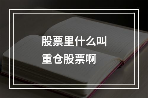 股票里什么叫重仓股票啊