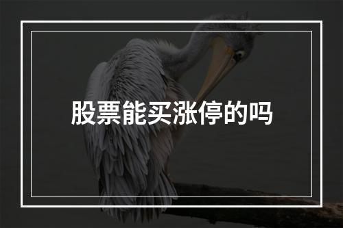 股票能买涨停的吗