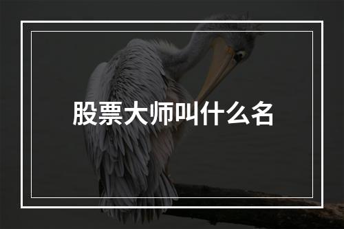 股票大师叫什么名