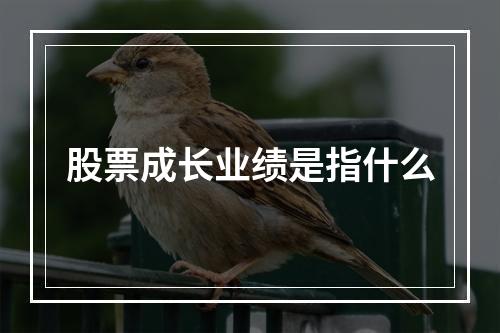 股票成长业绩是指什么