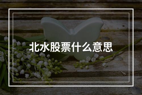 北水股票什么意思