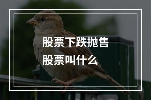 股票下跌抛售股票叫什么