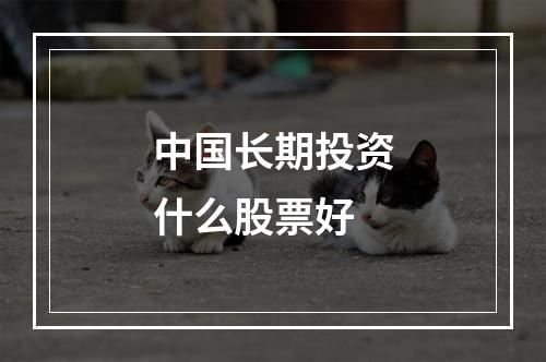 中国长期投资什么股票好